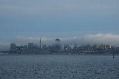 San Francisco in fog