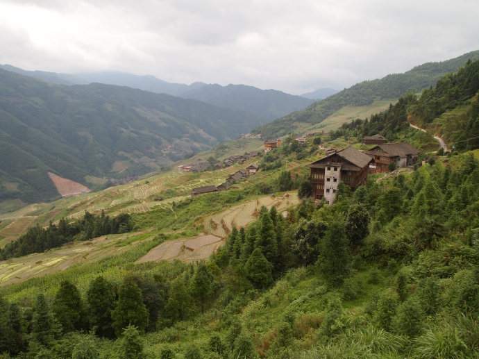 coming out of the woods and approaching the village of Longji
